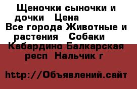 Щеночки-сыночки и дочки › Цена ­ 30 000 - Все города Животные и растения » Собаки   . Кабардино-Балкарская респ.,Нальчик г.